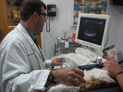 ultrasound